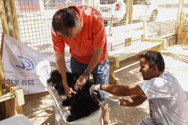 População participa do Dia D da vacinação antirrábica em Mossoró