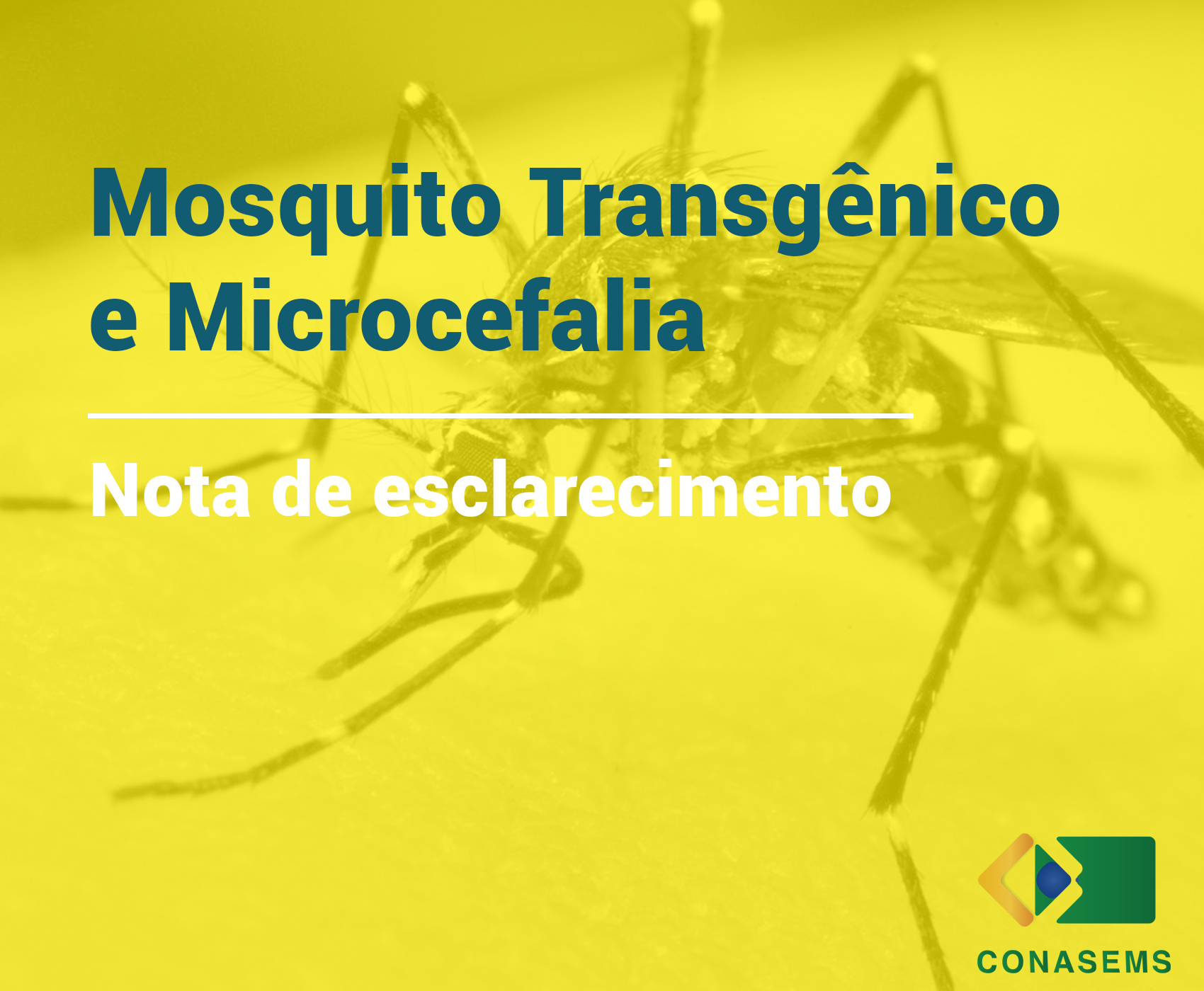 Conasems emite Nota de Esclarecimento sobre Microcefalia e mosquito transgênico