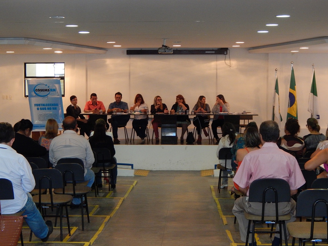 Secretários municipais de saúde realizam 203ª reunião ordinária do Cosems