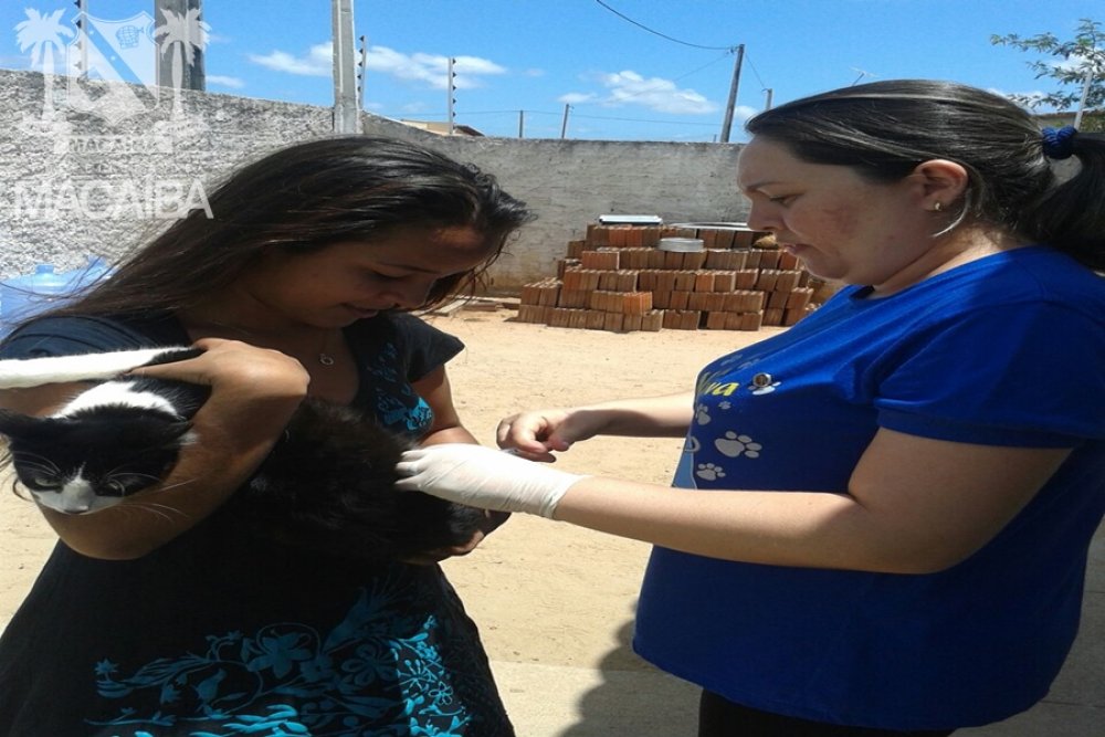 Prefeitura de Macaíba prossegue com calendário de vacinação de cães e gatos
