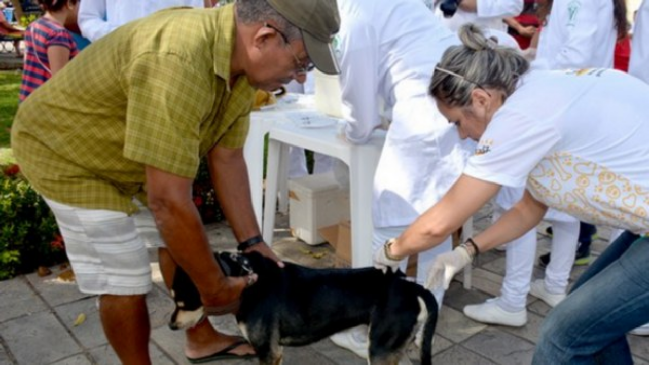 Centro de Zoonoses participa de ação de cuidados aos animais
